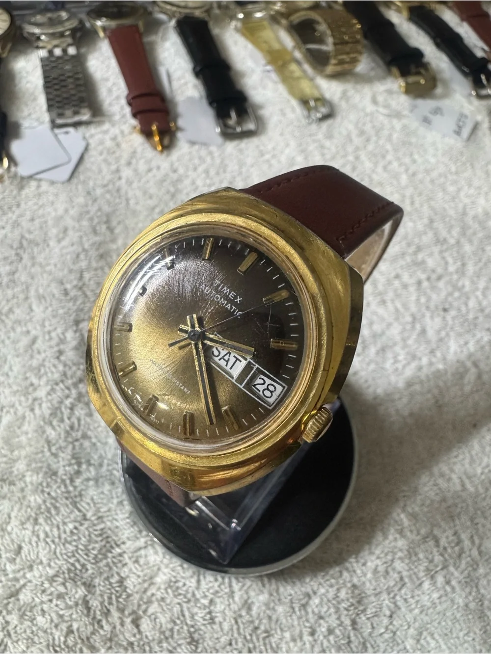 Timex Gold-Tone Case Brown Dial Men's Watch